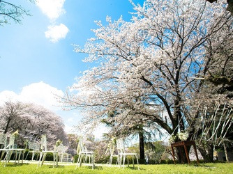 世田谷美術館レストラン ル・ジャルダン セレモニースペース(ガーデン挙式)画像 2-2