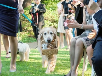 世田谷美術館レストラン ル・ジャルダン セレモニースペース(ガーデンテラス)画像 2-3