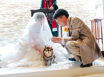 クオーリ クオーリ チャペル(滝の流れる幻想的な空間)画像 2-3