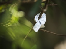 神宮会館 ロケーション画像 2-4