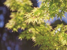 神宮会館 ロケーション画像 2-5