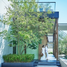 アマンダンテラス(AMANDAN TERRACE) チャペル(クリスタルチャペル)画像 2-1