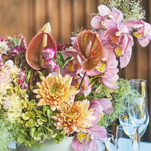 アマンダンテラス(AMANDAN TERRACE) その他1画像 2-4