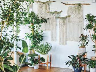 アマンダンテラス(AMANDAN TERRACE) その他2画像 1-2