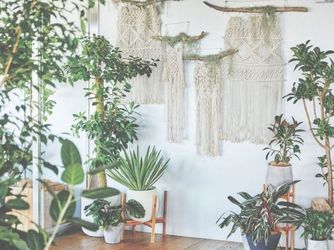 AMANDAN RISE (アマンダンライズ) その他3画像 1-2