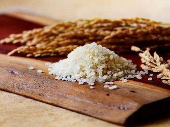 UTSUNOMIYA MONOLITH(宇都宮モノリス) 料理・ケーキ2画像 2-2