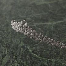 ＡＭＡＮＤＡＮ ＶＩＬＬＡ（アマンダンヴィラ） 衣裳1画像 2-3