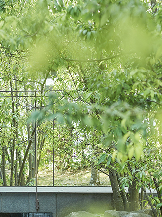 アクアデヴュー佐賀スィートテラス パーティーレポート(和)画像 1-2