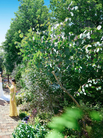 モアフィール宇都宮プライベートガーデン 【1日1組貸切】緑溢れるアットホームな邸宅画像 1-2