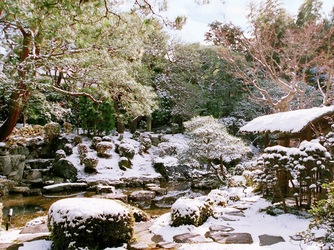 桜鶴苑(おうかくえん) 料理・ケーキ2画像 2-3