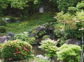 桜鶴苑(おうかくえん) ロビー・エントランス画像 2-3