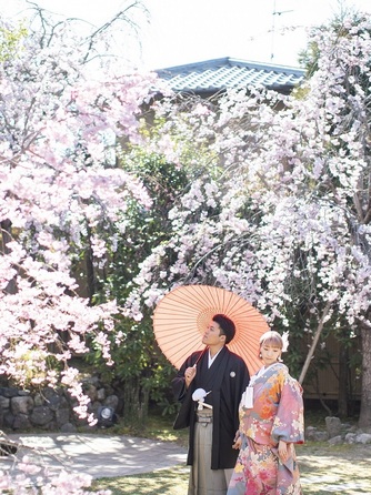 桜鶴苑(おうかくえん) 撮影スポット2画像 1-1