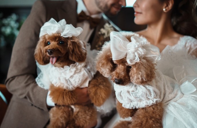 神戸北野サッスーン邸 その他1画像 1