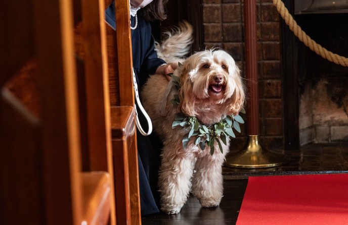 神戸北野サッスーン邸 その他1画像 2