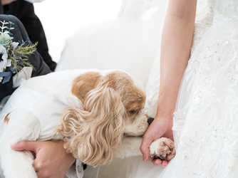 ザ・ラシュランコート/あいネットウエディング チャペル(カーサ・プロメッサ)画像 2-3