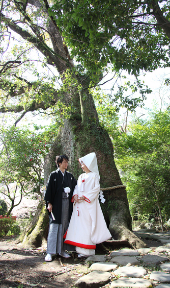 ハートフィールド ｈｅａｒｔ ｆｉｅｌｄ の神社 三嶋大社で本格神前式 のフォトギャラリー ゼクシィ