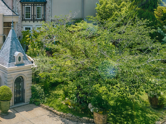 エスプリ・ド・ナチュール(Esprit de Nature) セレモニースペース(四季の緑豊かな大聖堂と洋館で過ごす自然美)画像 1-3