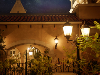 エスプリ・ド・ナチュール(Esprit de Nature) 大人気のディナーウェディング画像 2-2