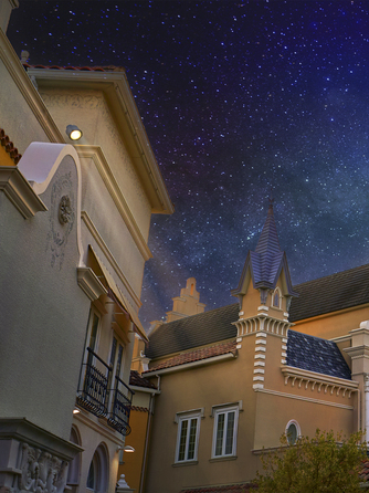 エスプリ・ド・ナチュール(Esprit de Nature) セレモニースペース(クラッシックで新しい貸切洋館ウェディング)画像 1-1