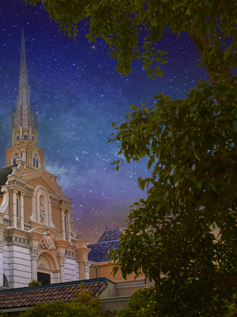 エスプリ・ド・ナチュール(Esprit de Nature) セレモニースペース(クラッシックで新しい貸切洋館ウェディング)画像 1-2