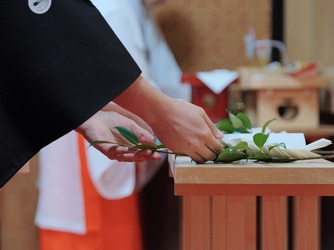 多賀大社 神社(多賀大社参集殿)画像 2-3