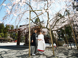 多賀大社 ロケーション1画像 1-2