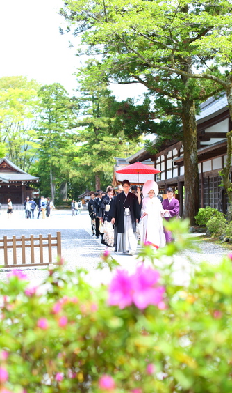 多賀大社 神社(多賀大社参集殿)画像 2-1