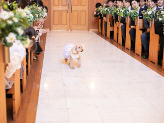 The Secret Home (ザ シークレットホーム) 付帯設備1画像 2-2