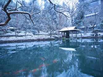 八芳園 料亭 壺中庵 庭園2画像 2-4