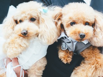 アール ベル アンジェ Nagoya その他1画像 1-1