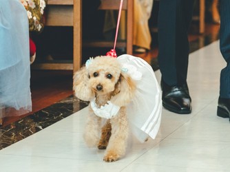 アール ベル アンジェ Nagoya その他1画像 1-3