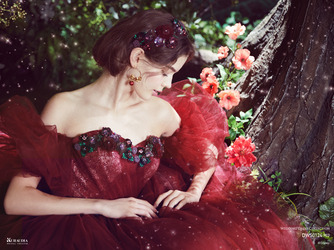 アール ベル アンジェ Nagoya 衣裳1画像 2-1