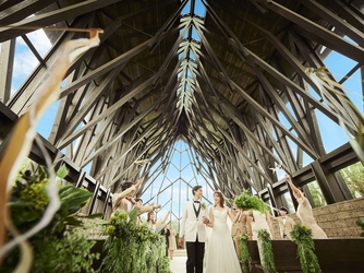 ラヴィマーナ神戸(RAVIMANA KOBE) チャペル(自然が奏でる美しい森の旋律「アーリオス」)画像 2-2