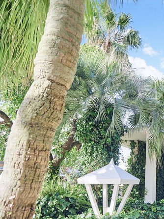 ONE&ONLY ル・グラン・ミラージュ ロビー・エントランス画像 1-1