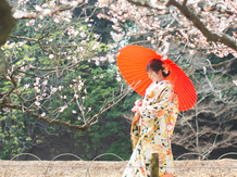 Ravir Okayama (ラヴィール岡山) 衣裳5画像 2-5