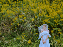 SARA 撮影スポット2画像 2-4