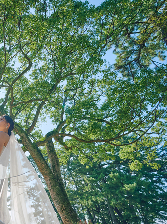 ウエディングヒル 東京ベイ幕張 ロケーション1画像 2-2