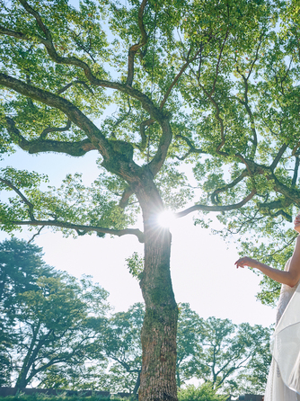 ウエディングヒル 東京ベイ幕張 ロケーション1画像 2-1
