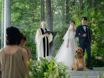 ANELLI 軽井沢(アネーリ 軽井沢) チャペル(野鳥のさえずりが聞こてくるような空間)画像 2-2