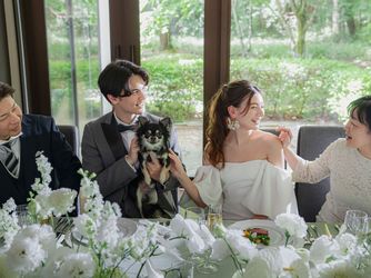 ANELLI 軽井沢(アネーリ 軽井沢) 【少人数専用の特別室】シャングリラ画像 2-1