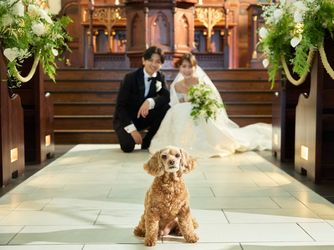 ノートルダム周南 Notre Dame SHUNAN 教会(ノートルダム大聖堂)画像 2-2