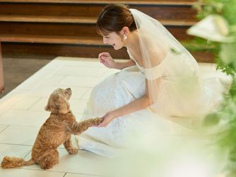 ノートルダム周南 Notre Dame SHUNAN 教会(ノートルダム大聖堂)画像 2-3