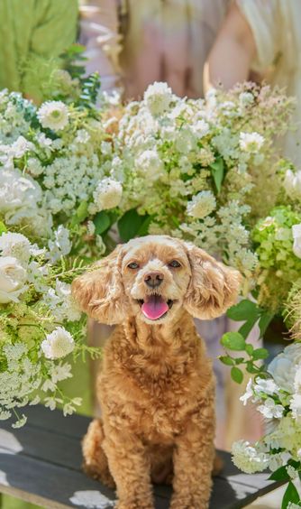 ノートルダム周南 Notre Dame SHUNAN 教会(ノートルダム大聖堂)画像 2-1