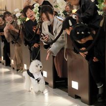 アンジェリカ・ノートルダム ANGELICA Notre Dame その他3画像 2-5