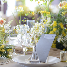 アンジェリカ・ノートルダム ANGELICA Notre Dame 演出2画像 2-5