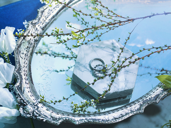 新横浜プリンスホテル セレモニースペース(スカイガーデン)画像 2-3