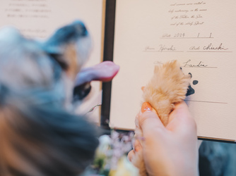 軽井沢プリンスホテル フォレスターナ軽井沢 演出画像 2-3