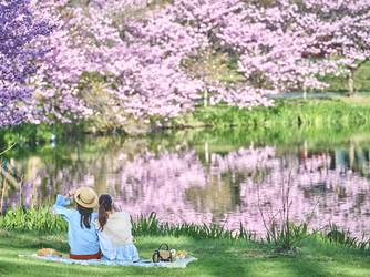 軽井沢プリンスホテル フォレスターナ軽井沢 ロケーション4画像 2-3
