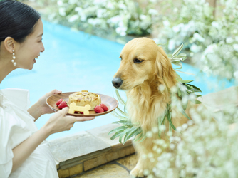 軽井沢プリンスホテル フォレスターナ軽井沢 デリシュタール 最大64名(庭・プール)画像 2-4