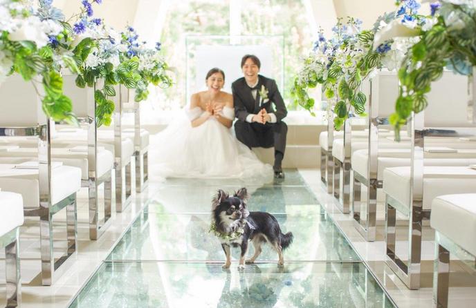 軽井沢プリンスホテル フォレスターナ軽井沢 演出画像 1